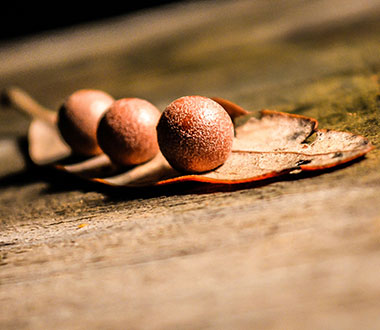 免费短信轰炸机试用